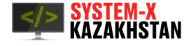 System X